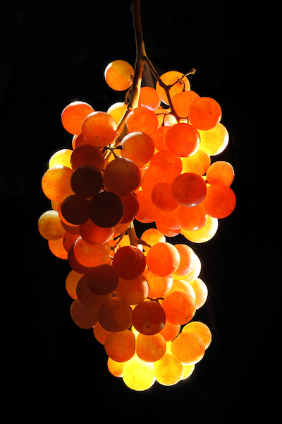 Grapes