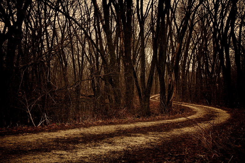 Gloomy Road