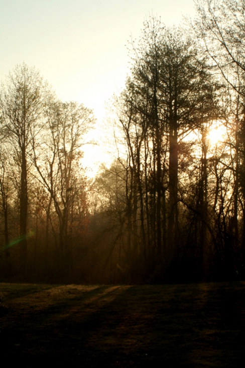 warmth of the early sun