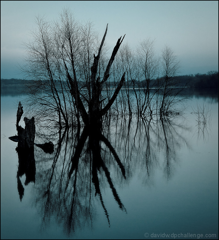 Reflections in the Flood