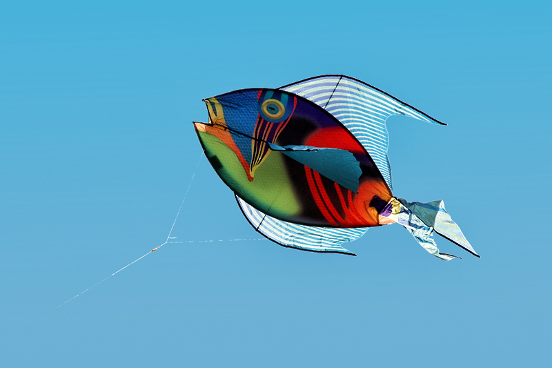 A little warm in a cool kite