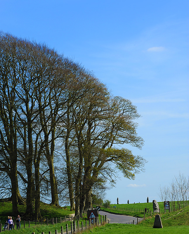 Grass & Sky At Avebury Stone Circle