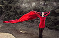 Lady in Red