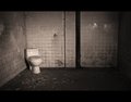 Thrown Away Throne