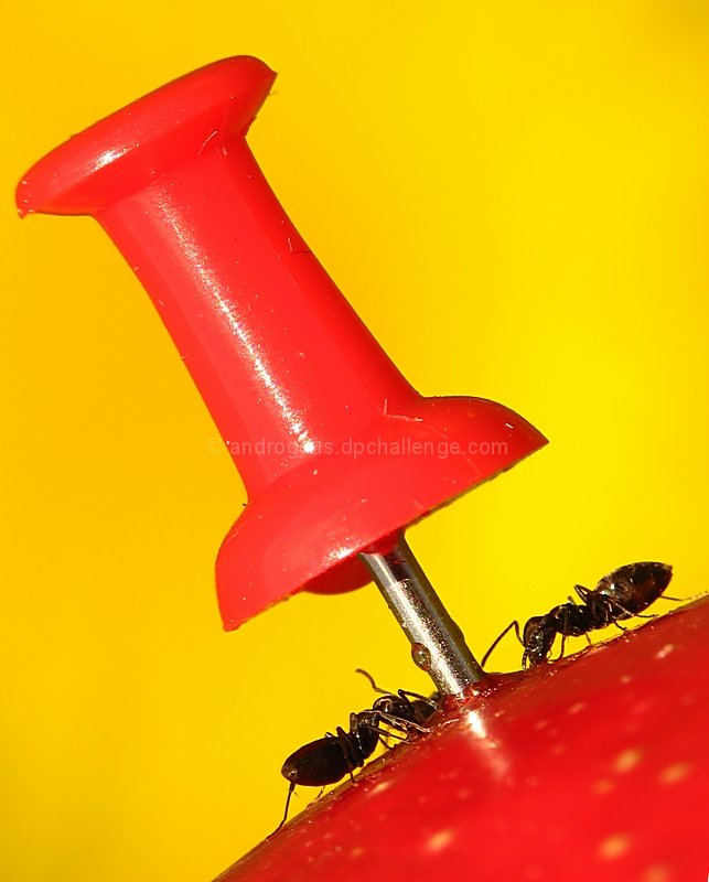 Alert,Will !!! We're under A TACK!