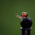 A leap of faith