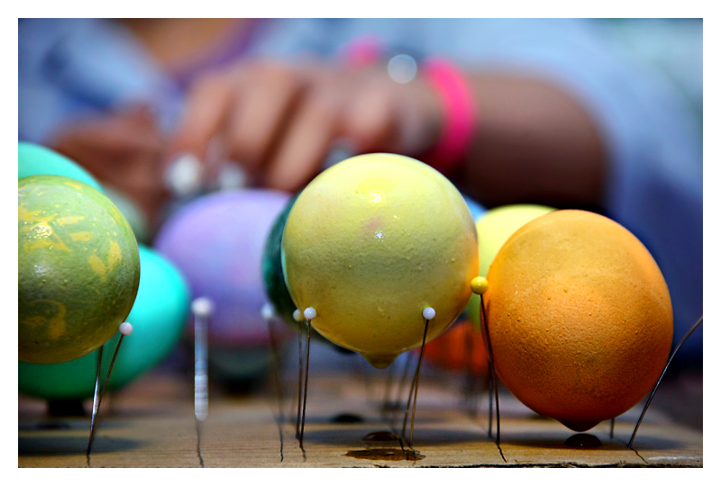 Eggcellent!