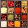 Spices - The Variety of Life