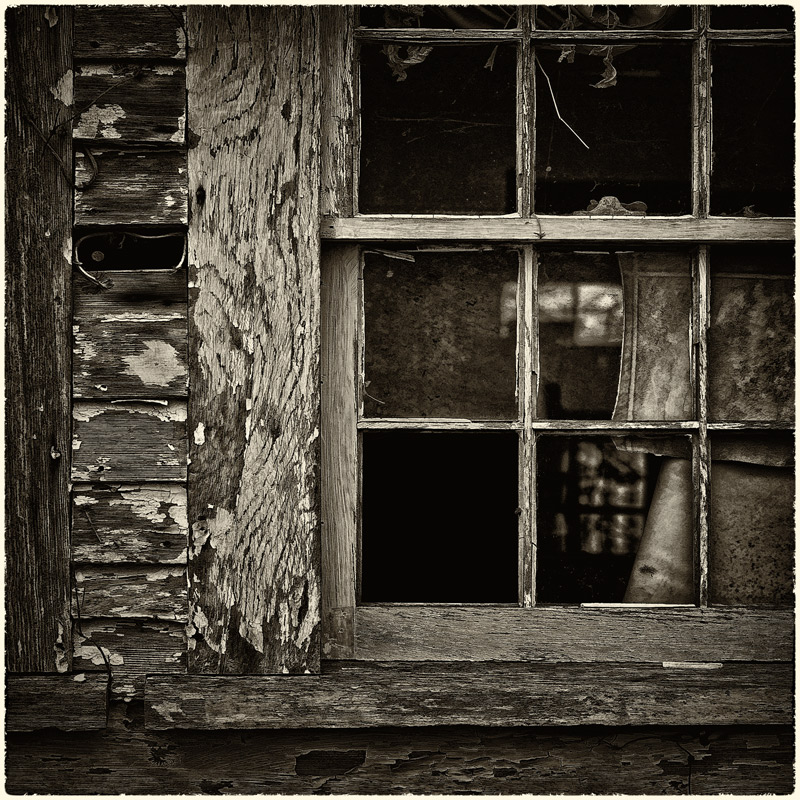 • the persistence of memory •