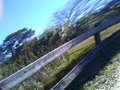 Accidental Action Shot