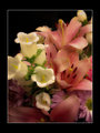 Mother's Day Flowers