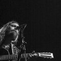 the white buffalo