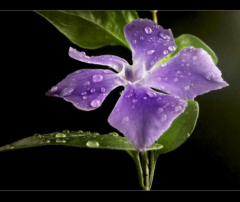 April Showers