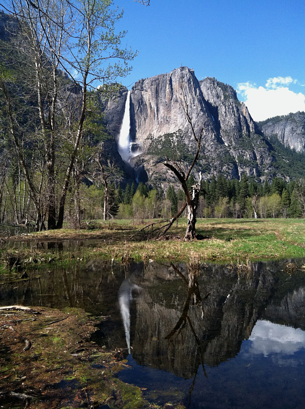 Yosemite falls 