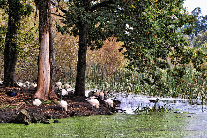 Life Along The Bank