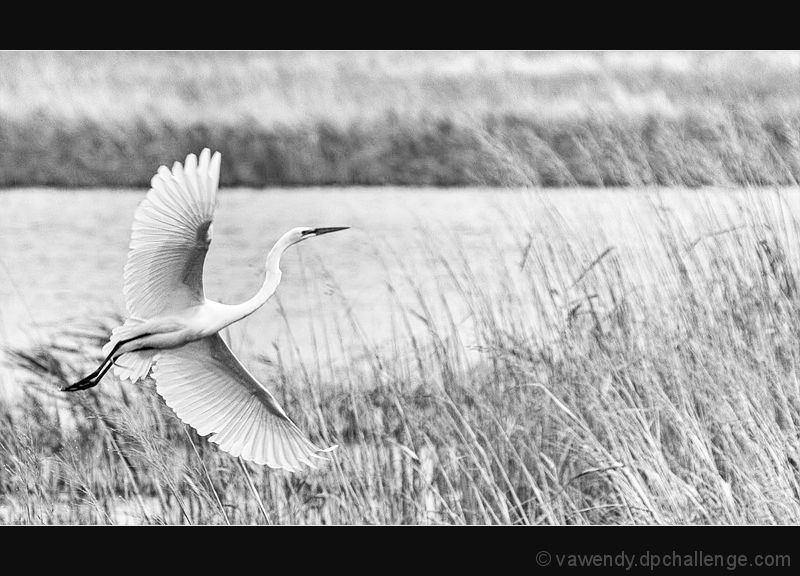 Banking Over the River Bank