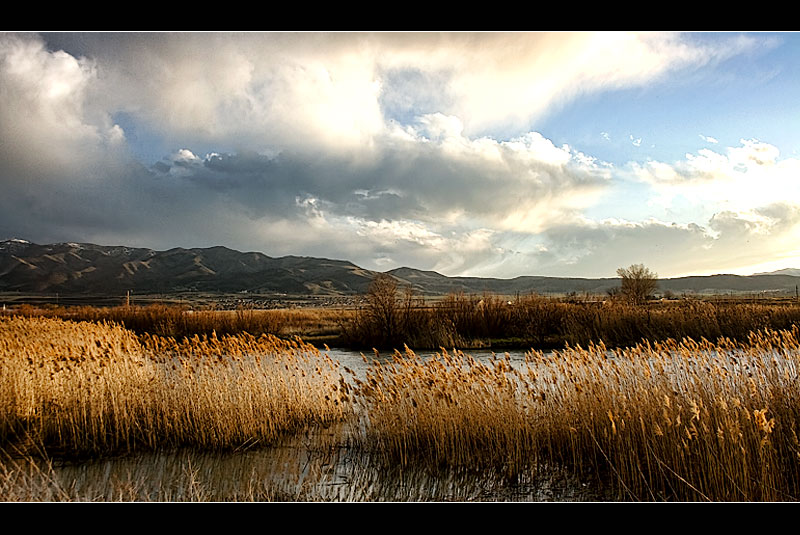 Sunset by the River Bank