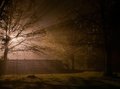 The fog comes in on little cat feet. ~Robert Frost~
