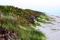 Sand Fence, Merrit Island