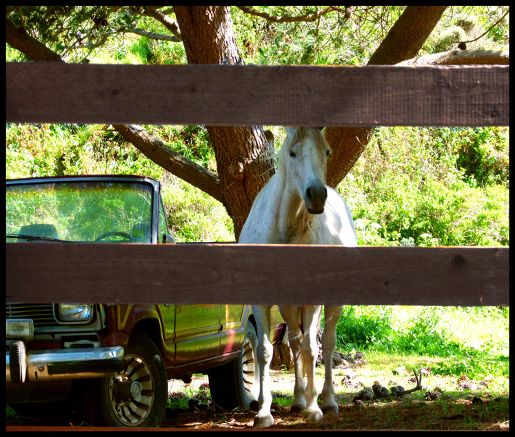 Horsepower
