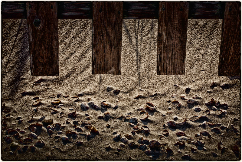 Dune Fence and Shells, Evening Light