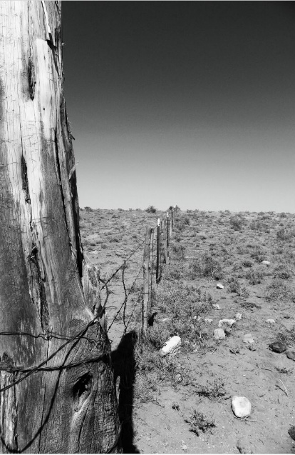 A Dry Year (fenceline)