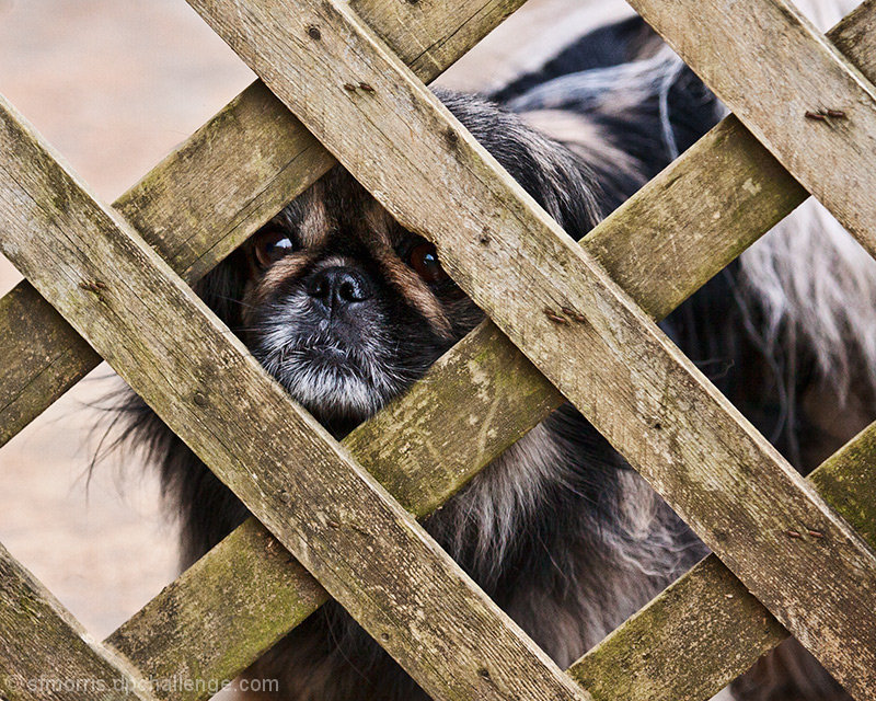 "Don't Fence Me In"