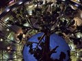 Tree of life