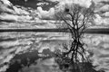 High Water