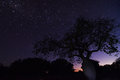 Ibasiriyi Night Sky