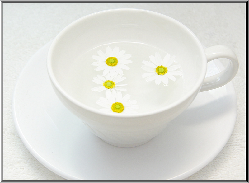 Daisy Tea Cup