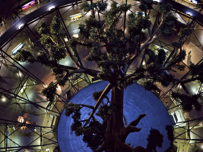 Tree of life