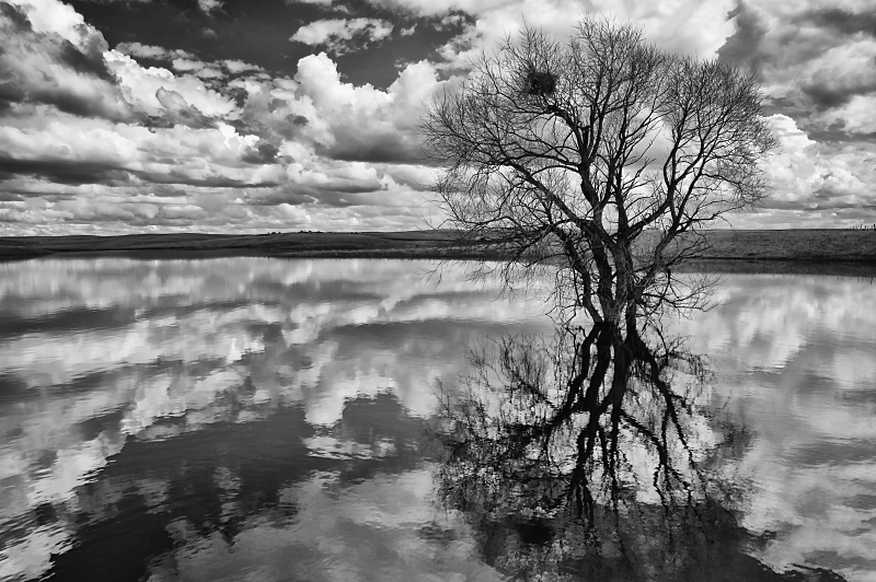 High Water