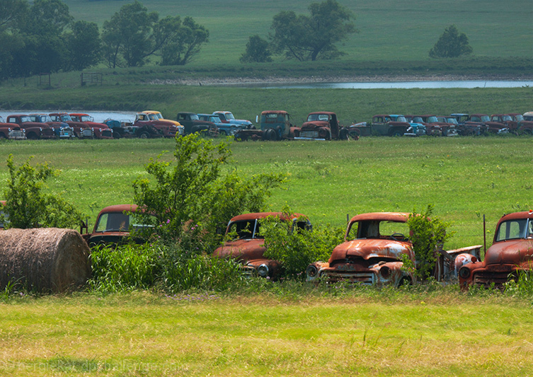 Mater Family Portrait