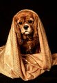 Gowned in Gold