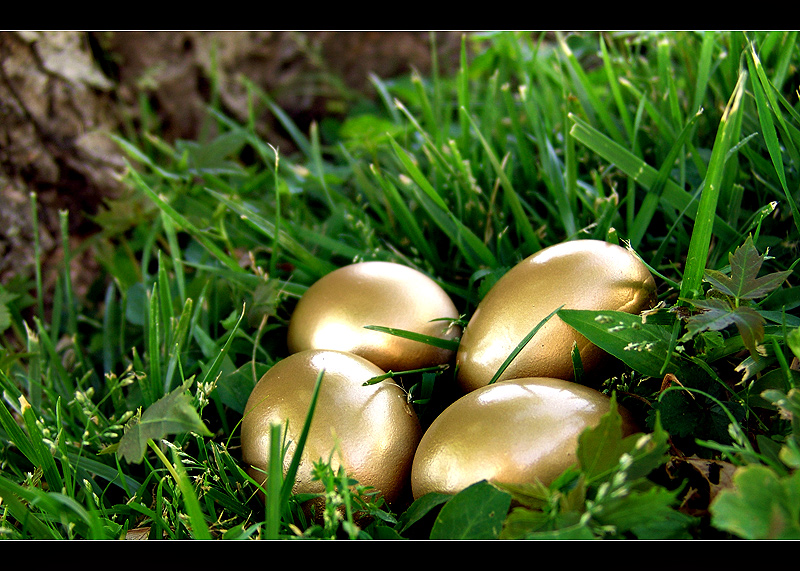 The Golden Eggs