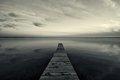 Solitude 