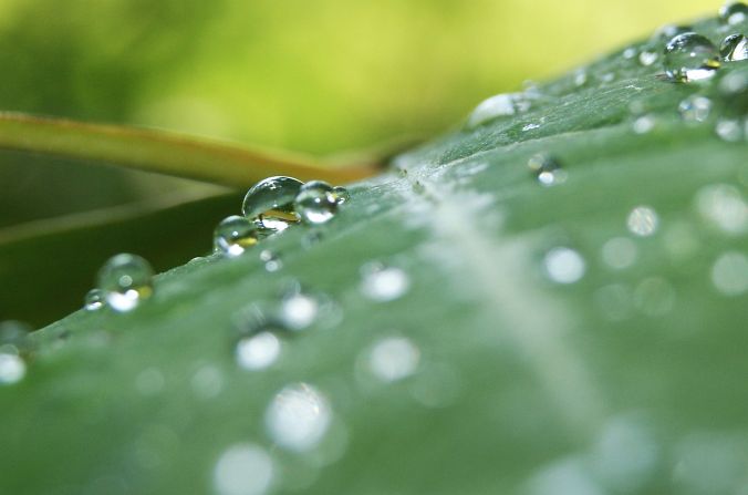 Rain drops 