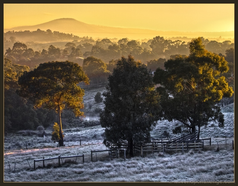Morning Frost