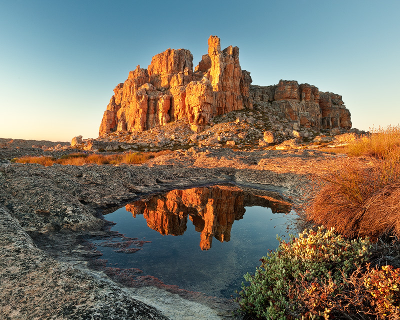 The Fort