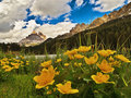 Misurina