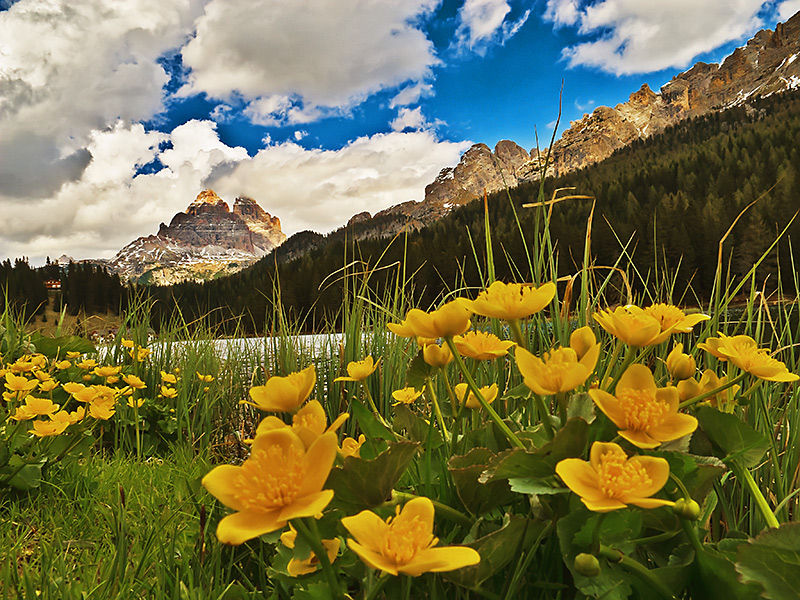 Misurina