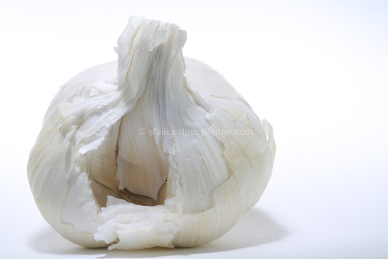  Garlic