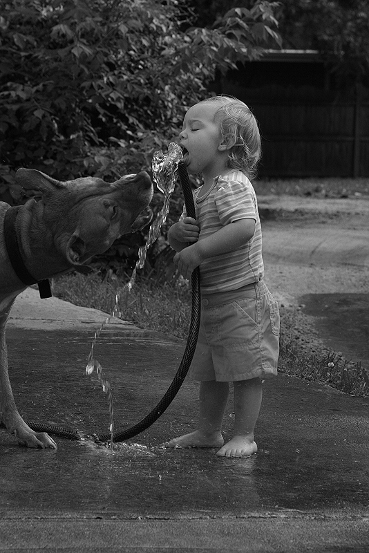 A Girl & Her Dog