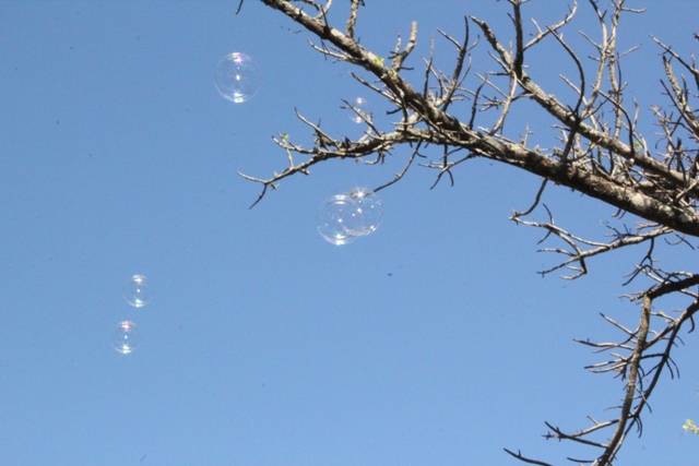 Tiny Bubbles!