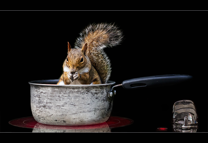 Slippy's Dinner