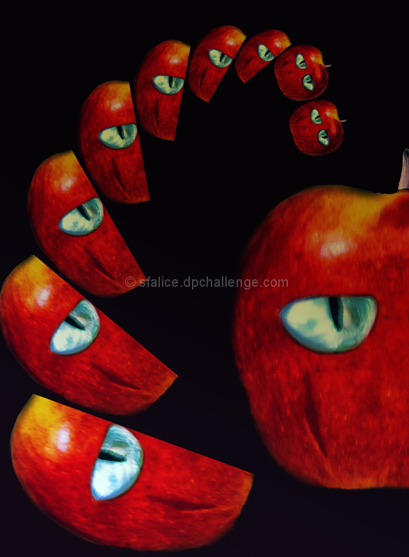 The Apple and the Eye