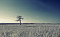 Alone