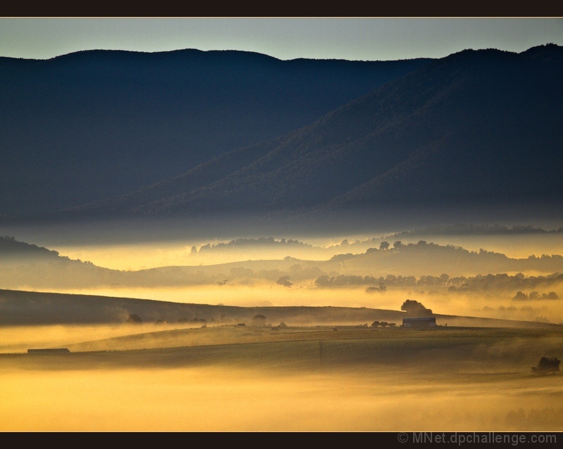 Fog Glowing at Sunrise