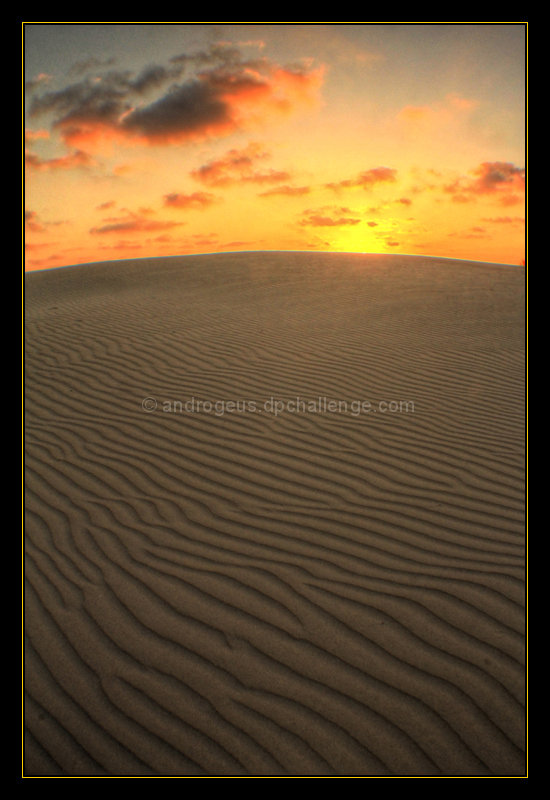 Sandscape